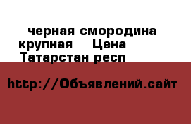 черная смородина крупная  › Цена ­ 150 - Татарстан респ.  »    